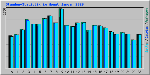Stunden-Statistik im Monat Januar 2020