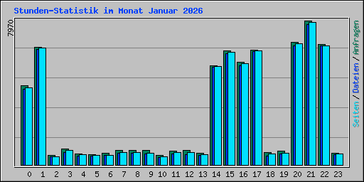Stunden-Statistik im Monat Januar 2026